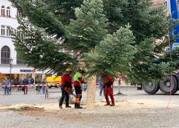 Weihnachtsbaum In Jena Aufgestellt 13112021 0014